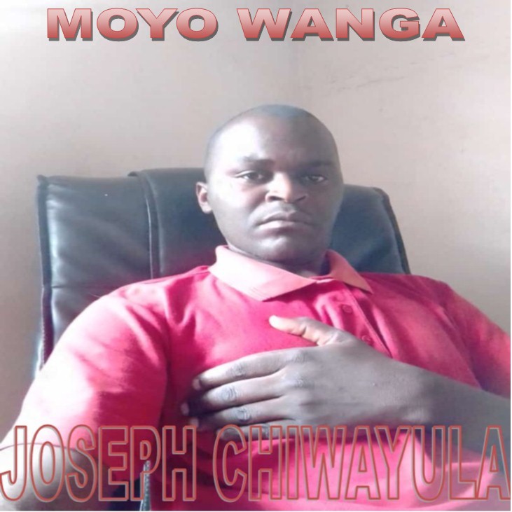 Moyo Wanga
